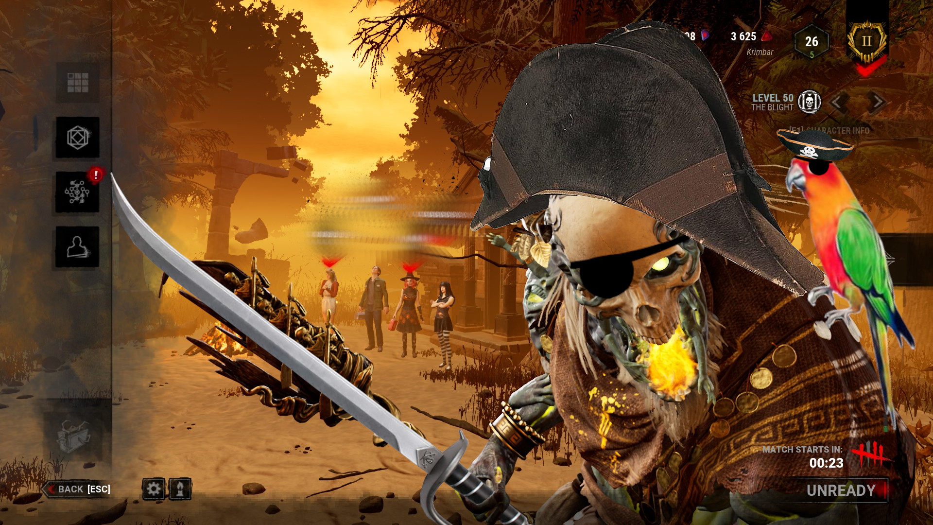 pirate collection 1.jpg