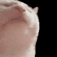 C3DC7FE2-C851-44D3-B3CD-19A2ECECB257.gif