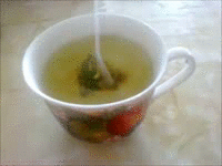 554a8a116c06838d5d997df8a872fda6_w200.gif