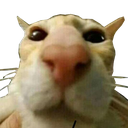 1D6C828C-ED7A-436B-95B8-50A743E8B137.png