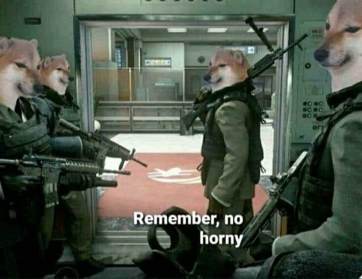 No horny.jpg