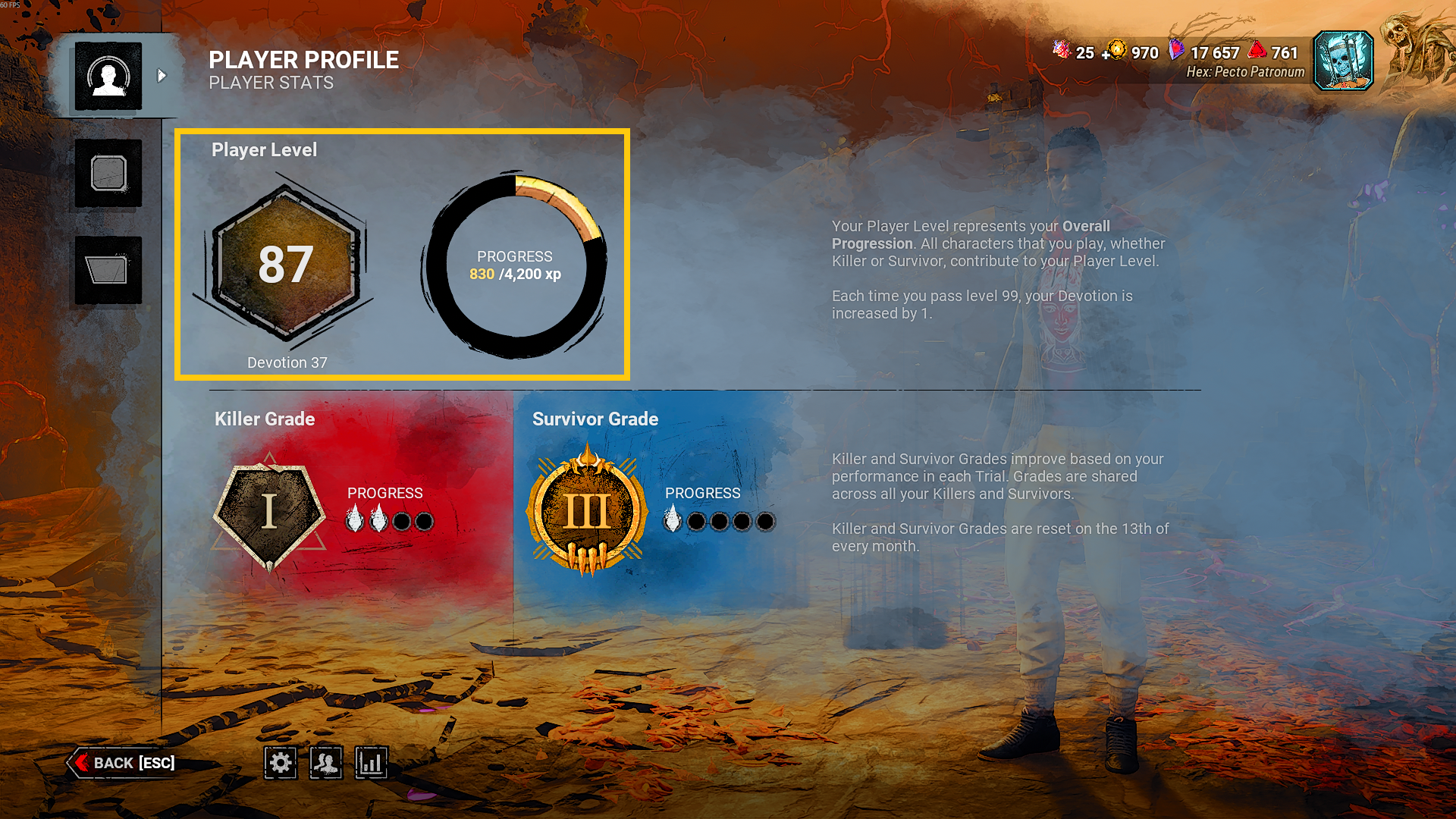 Player Level.png