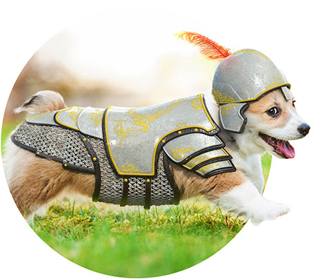 Puppy armor.jpeg