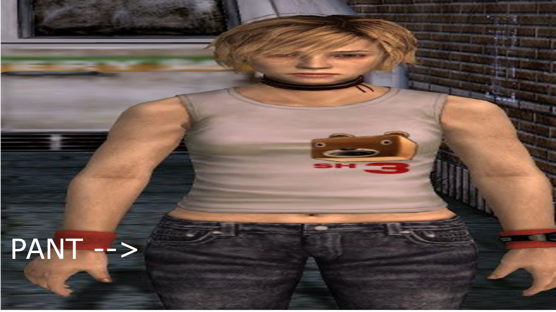 PANT.png