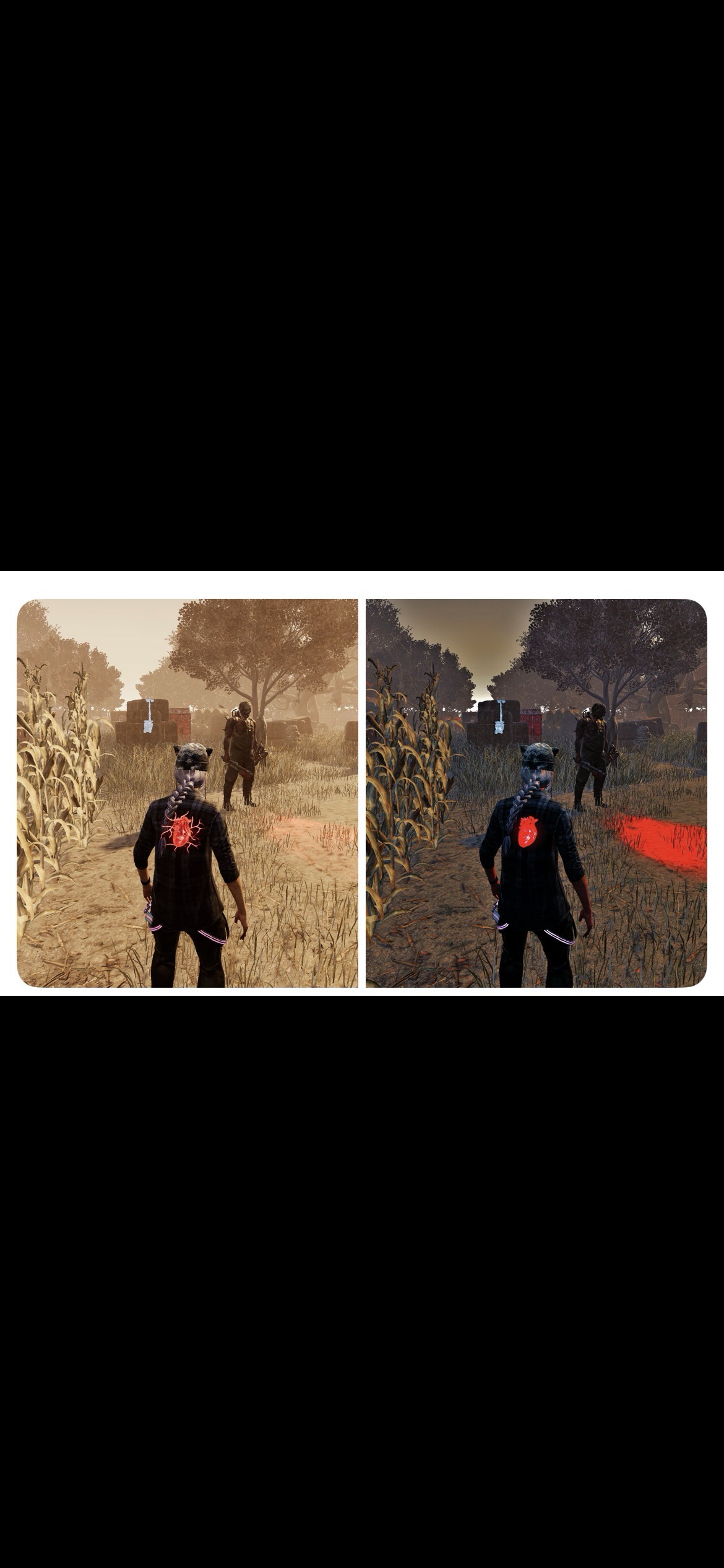IMG_7988.png