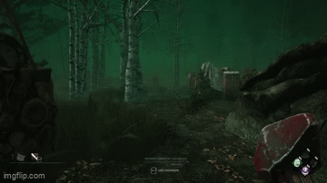 OLD Billy Locomotion  87 fov gif.gif
