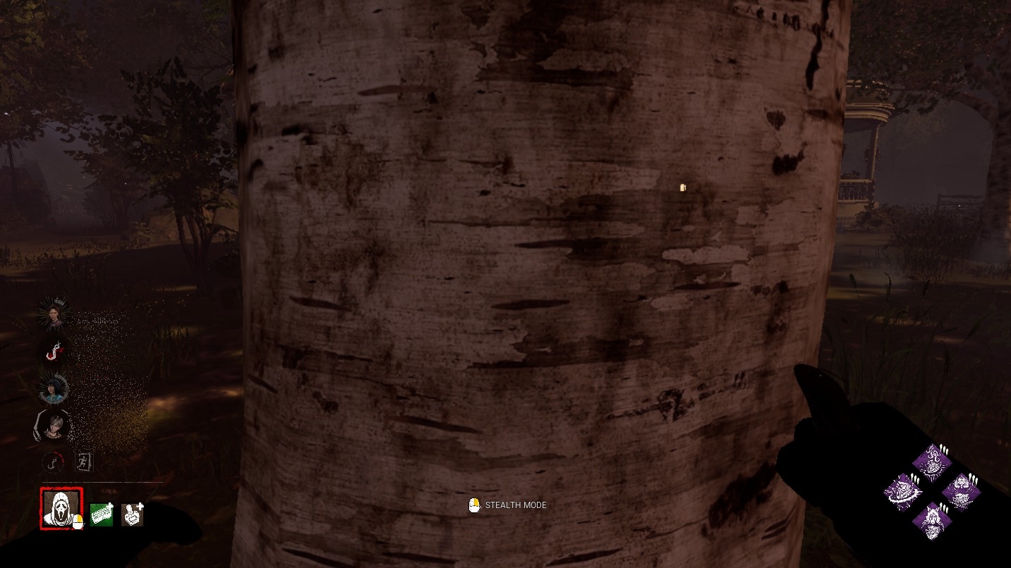 20220908084255_1 trees.jpg