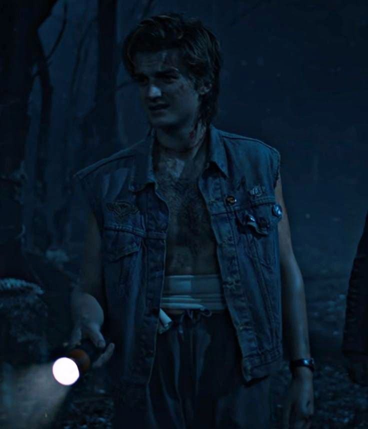 Steve Harrington.jpg