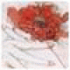 Rebthcptl