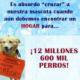 bertoo