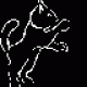 gato negro