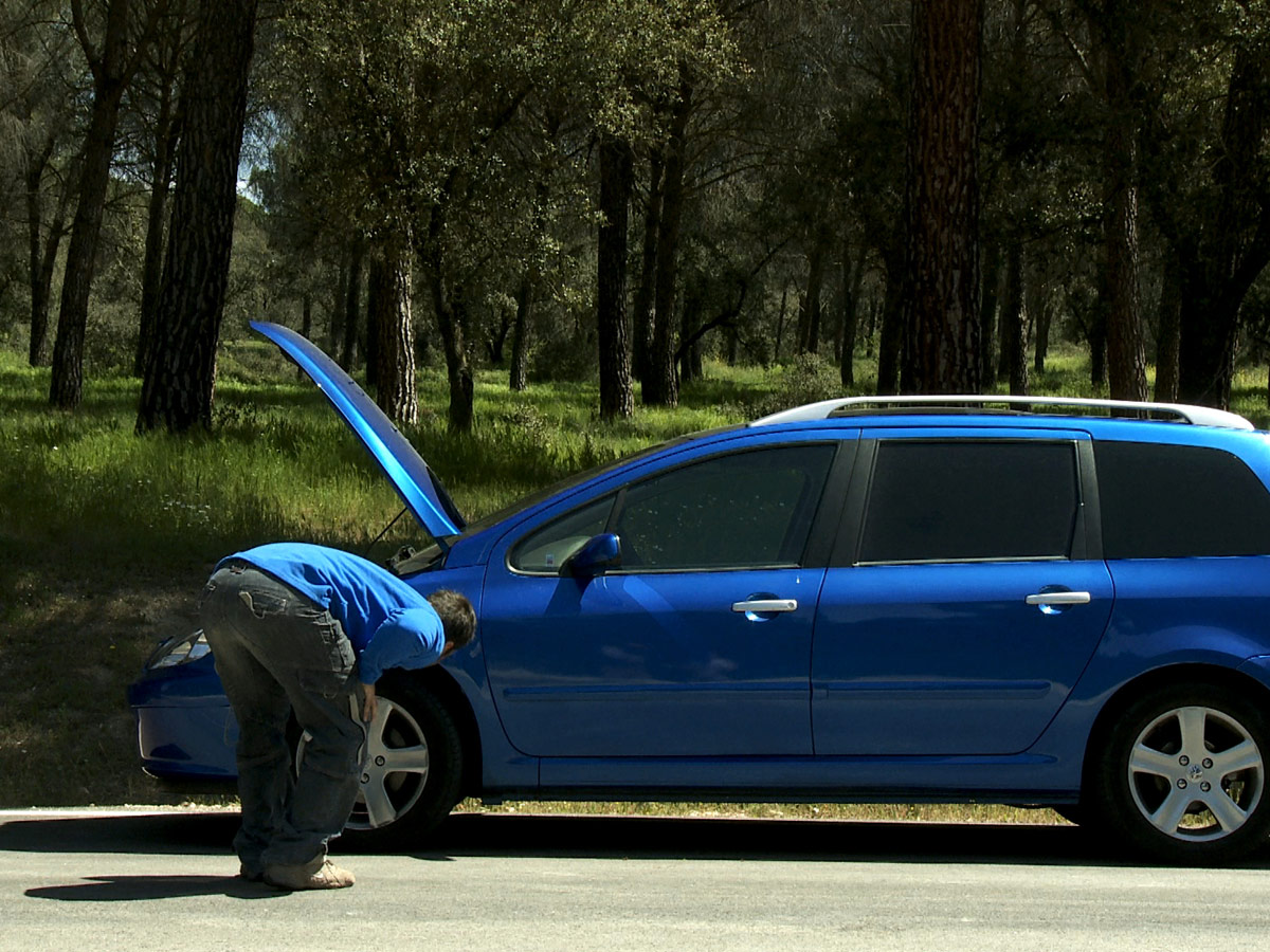 5lz95swcx6bx.png