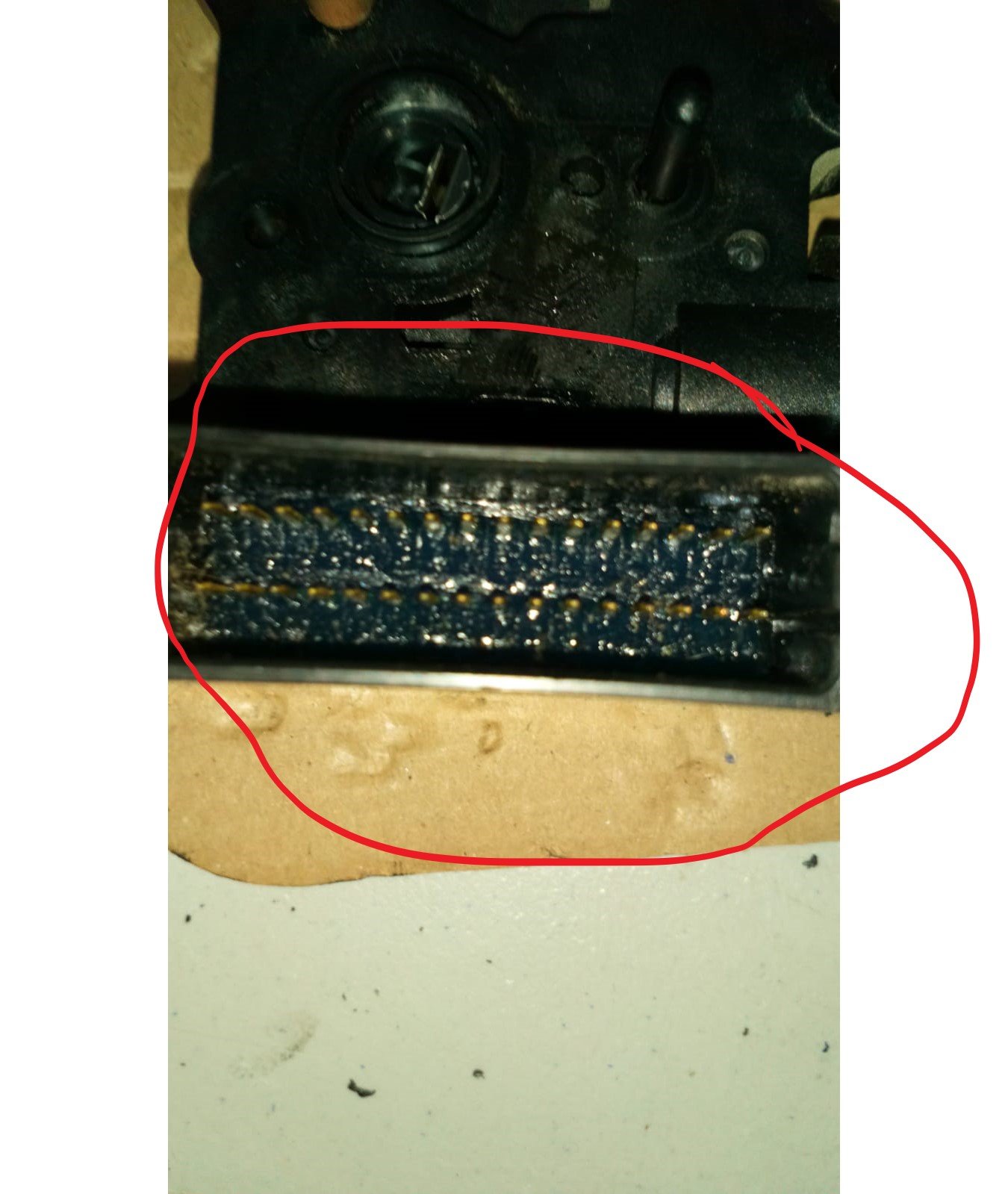 dhqei6lq8obl.jpg