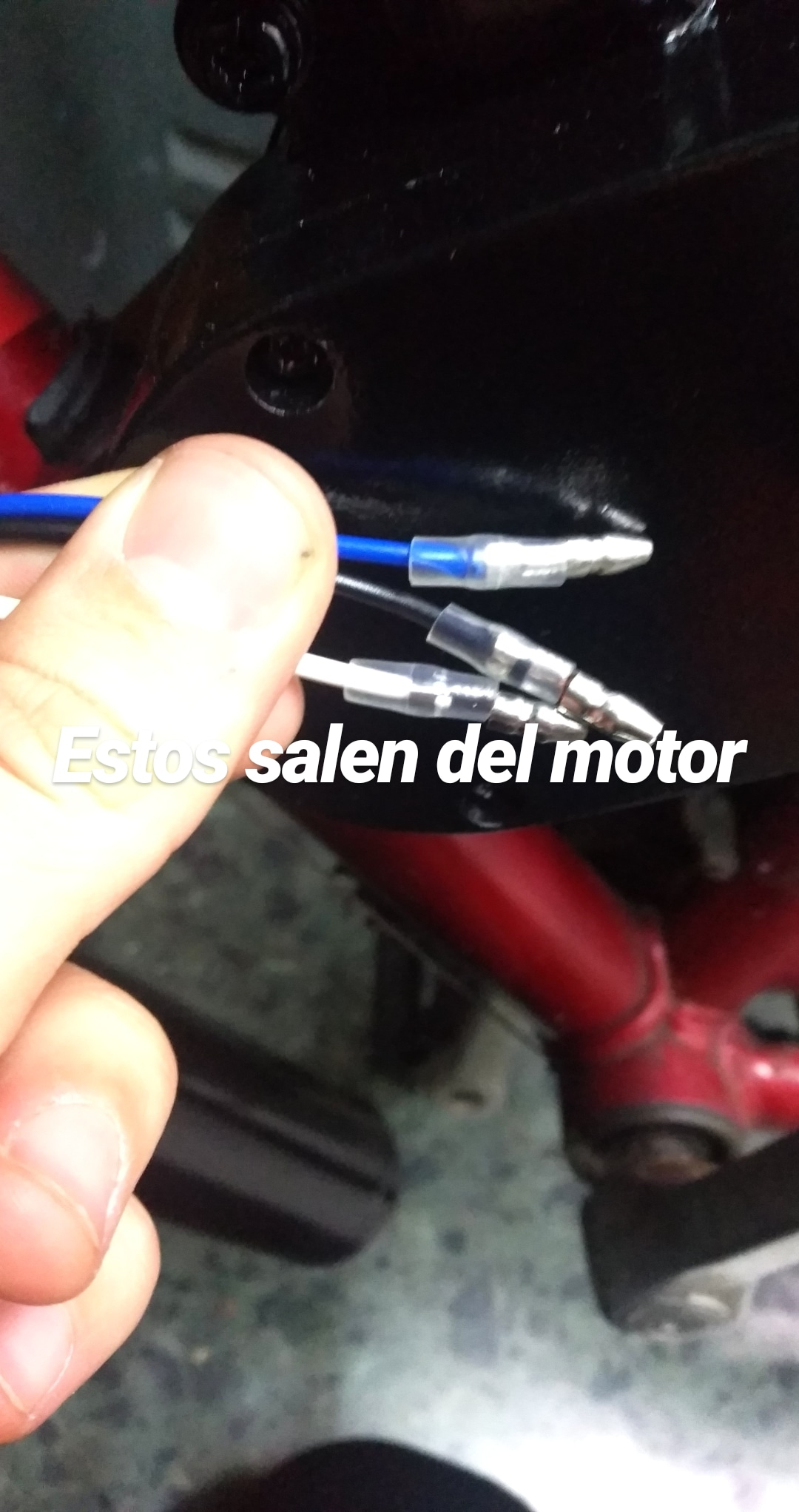i8bbuyqviar7.jpeg