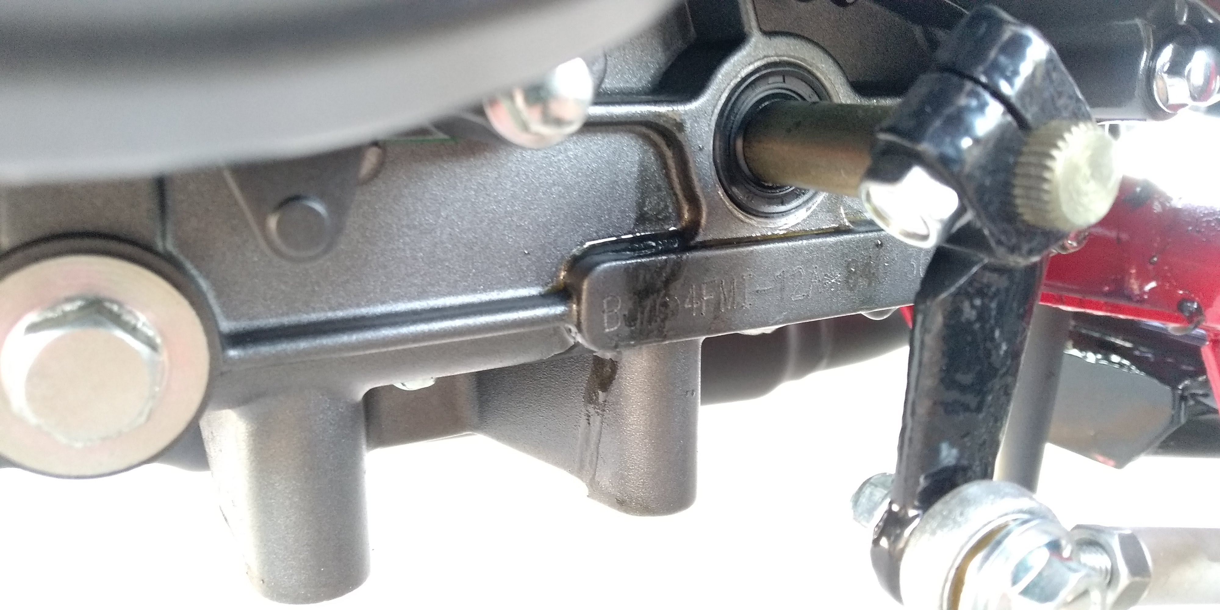 4pdl7pior90m.jpg