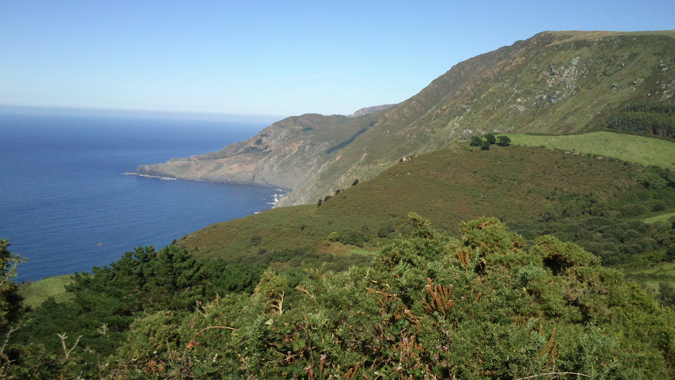 a5isl05lzcfy.jpg