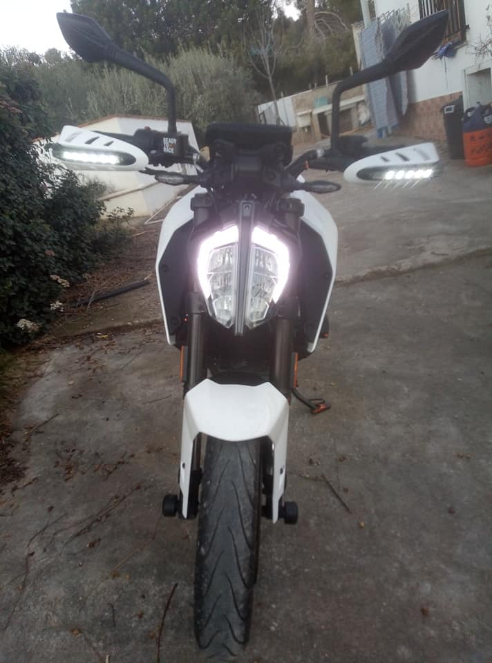 c90ezh8i7udn.jpg