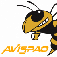 Avispao