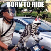 two wheels