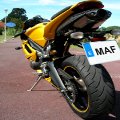 maff