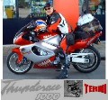 termi