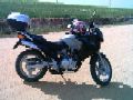 gimont