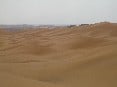 LA ROSA DEL DESIERTO