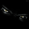Valek
