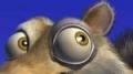 Torpus