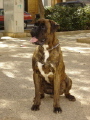 Mafer16