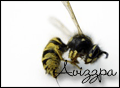 Avizzpa
