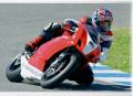 soloducati