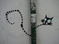 beto11