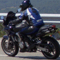 deivis