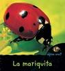 MARIQUITAMOTERA