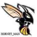 Hornet_man