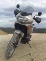 pokopelo