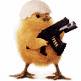 CHICKEN