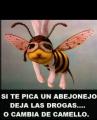 ReCaS-CBR