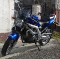 sandru8