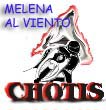 Melena al viento
