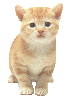 Necane