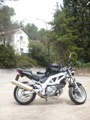 zagal99
