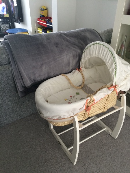 moses basket for downstairs