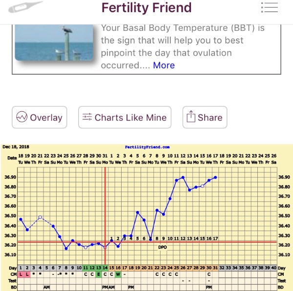 Bfp By Dpo Chart