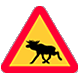 archicycle