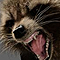 davefox