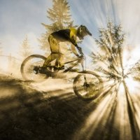 timothi.lindstone