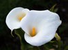leanne78uk