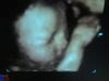 babymonkey75uk